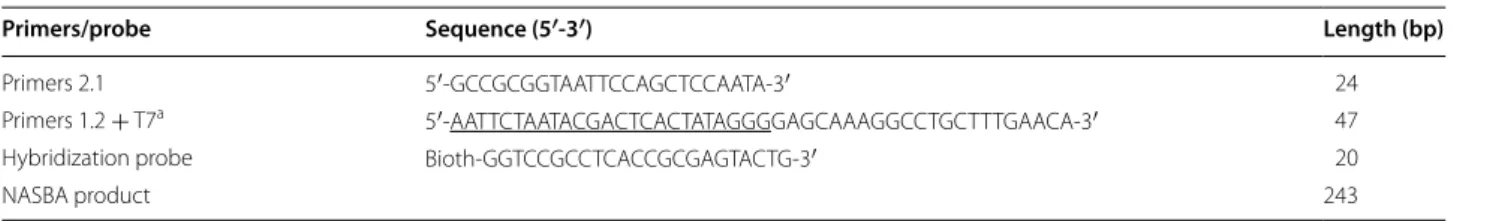 Table 1  Nucleotide sequences of oligonucleotide primers and probe used in this study