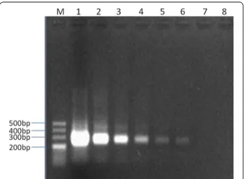 Fig. 3  Sensitivity of the NASBA-ELISA for molecular detection of 