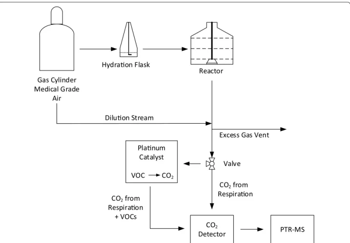 Fig. 1  Experimental setup for monitoring VOC production from a fungal solid state reactor