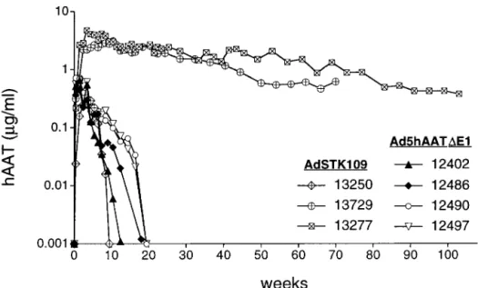 Fig. 3. Expression of hAAT in baboons after administration of Ad5hAAT ⌬E1 or AdSTK109