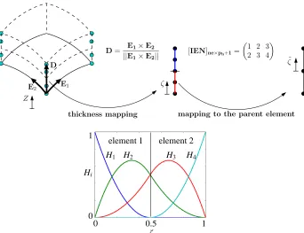 Figure 6: A quadratic B-spline basis function to be used for through the thickness discretization in the deformed conﬁguration