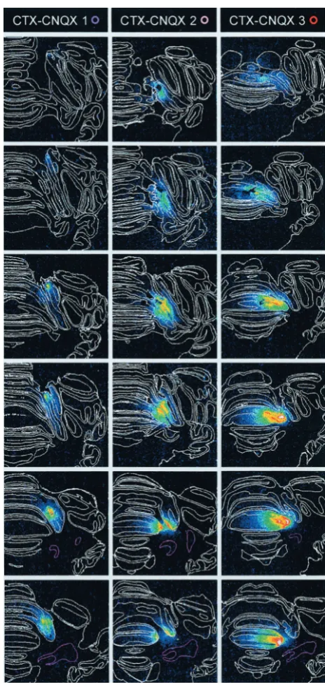 Figure 2.Continued
