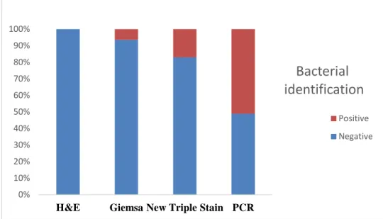 Fig: 1 Morphology of Gastric Tissue 