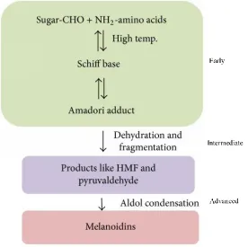 Figure 2.3. Overview of the early intermediated and advanced stages of Maillard reaction 