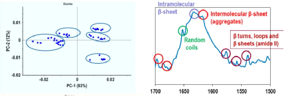 Figure 2.5 Typical score and loading plot of PCA 