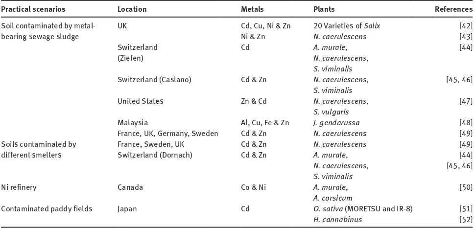 Table 1 Practical phytoextraction examples by hyperaccumulator and non-hyperaccumulator plants.