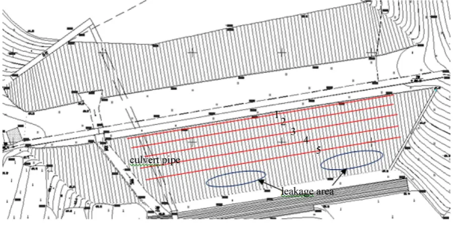 Figure 1. The layout of surveying line.                                                                                                   