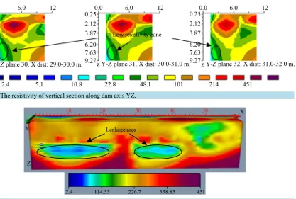 Figure 6. The 3D resistivity image.                                                                                          