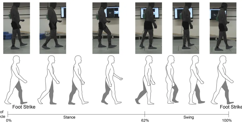 Figure 2 The gait experiment of the hemiplegic patient, one gait cycle = foot strike–strike (affected side).
