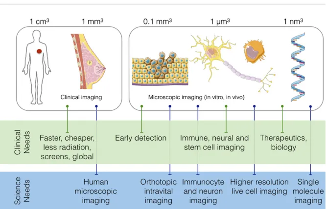 Fig. 1.Overview of clinical and basic science imaging needs.