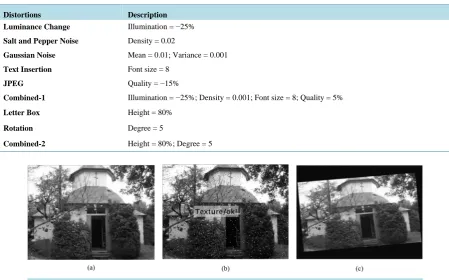 Figure 9. (a) Original video frame, (b) video frame with combined-1 distortion, and (c) video frame with combined-2 distortion