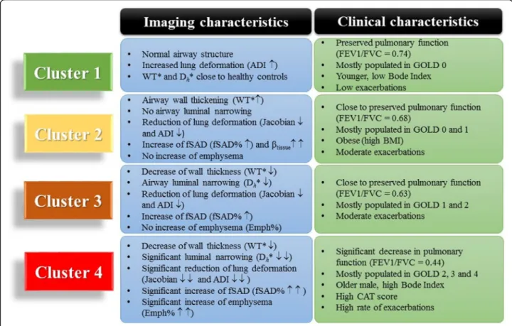Fig. 4 A summary of imaging and clinical variables for four clusters