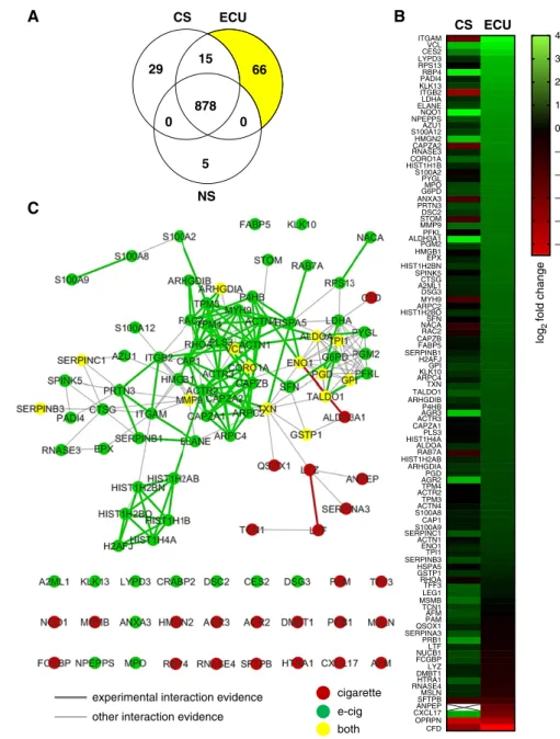 Figure 1. Analysis of induced samples of tobacco product users’ sputum indicates a uniquely altered airway secretome for e-cigarette users in comparison with cigarette smokers and nonsmokers