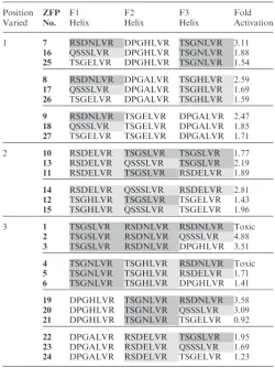 Table 2. Single module substitutions in ZFPs alter target aﬃnity