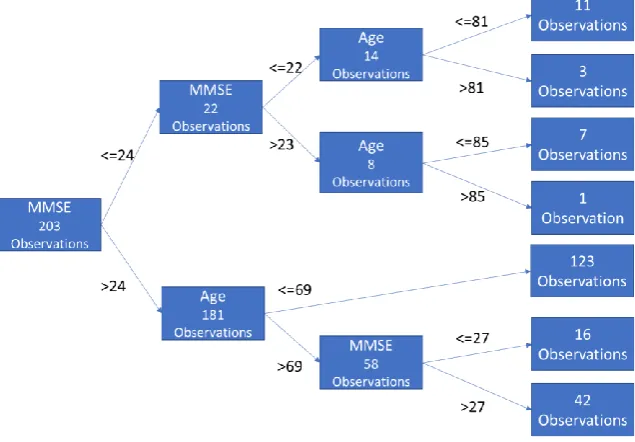 Figure 2.  A sample tree classification with a maximum of three branches 
