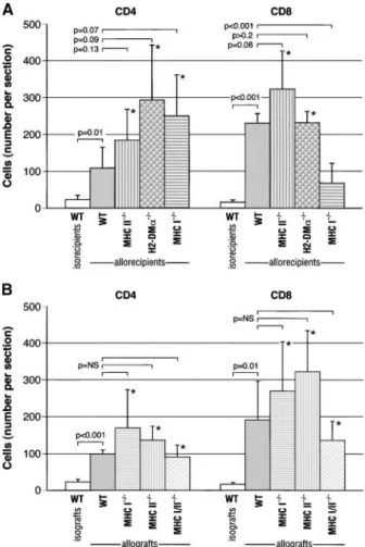 Figure 4. The mean number ( ⫾ SD) of graft-infiltrating CD4⫹ and