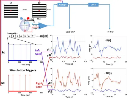 Figure 1. Overall system setup and experimental procedure is shown for 10rps stimulation