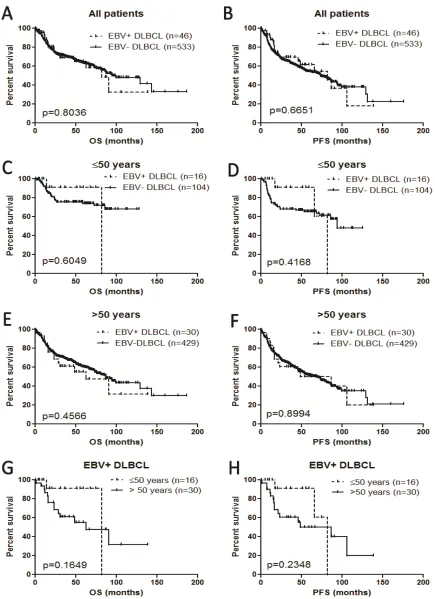 Figure 5: Survival analysis of EBV+ diffuse large B-cell lymphoma in all the patients and different age groups