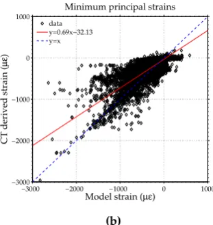 Table 5. Coefﬁcients of determination and slopes of the line of best ﬁt for each adaptive modelcompared to the CT scan derived model