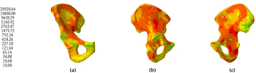 Figure 2. Distribution of Young’s modulus (MPa) across the CT scan derived model