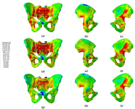 Table 2. Cumulative distribution (%) of elastic moduli of the three continuum models: CT scan derived,isotropic and orthotropic.