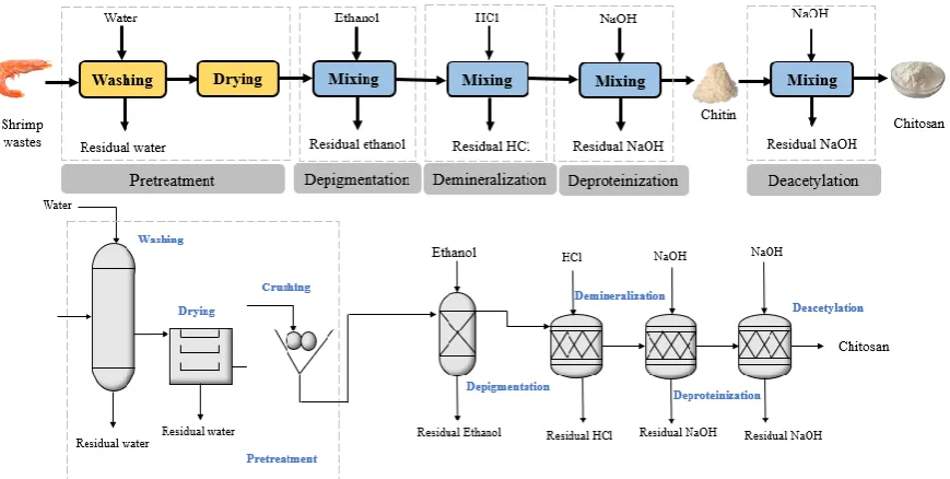 Figure 2. Schematic representation of chitosan production from shrimp wastes 