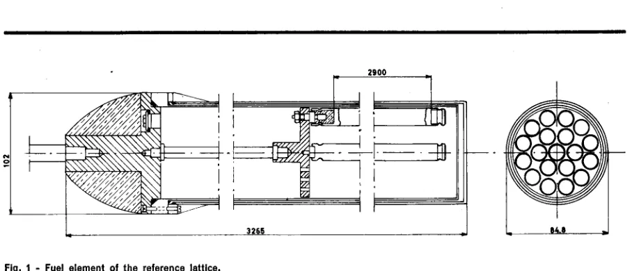 Fig. 1 - Fuel element of the reference lattice. 