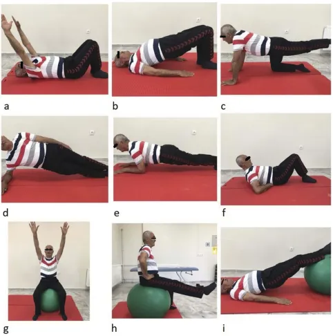 Figure 1 Examples of core stabilization exercises: beginner (A–C), intermediate (D–F), advanced (G–I).