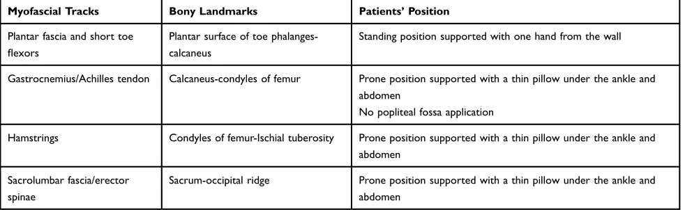 Table 1 Core Stability Exercise Program