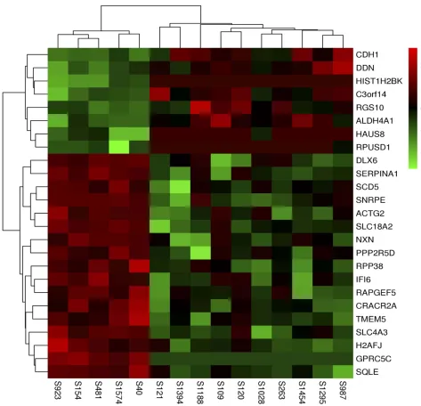 Figure 1 Cluster analysis of genes with signiﬁcantly altered methylation for upstream (n=25)