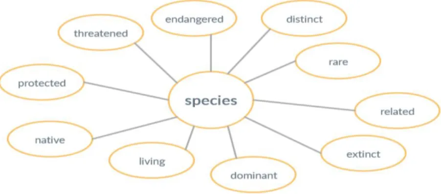 Fig. 1 Species spidergram 