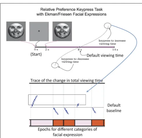 FIGURE 1 | Schema for Experimental Paradigm Used with fMRI. Attop, the categories of facial expressions used are shown along withbaselines (scrambled faces and ﬁxation)