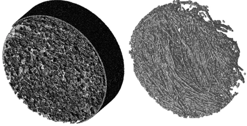 Figure 2 Three dimensional reconstructions of the two scaffold architecture types used in this study
