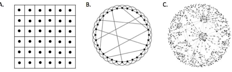 Figure 3. In the lattice network (A), agents only interact with their neighbors (applicable to 