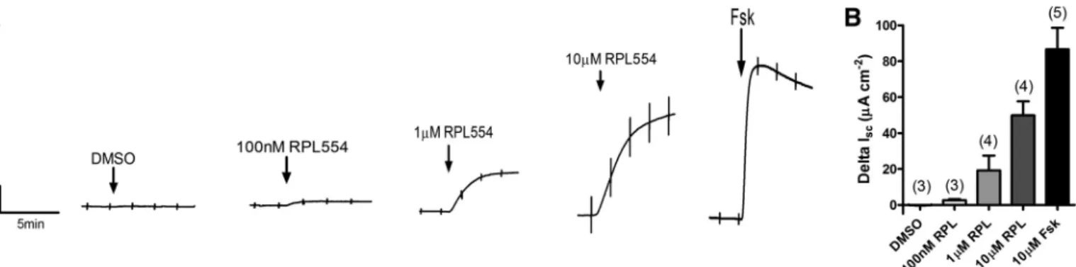 Fig. 2. RPL554 stimulates CFTR-dependent short-circuit current (I sc ) in wild-type (WT) CFBE cells