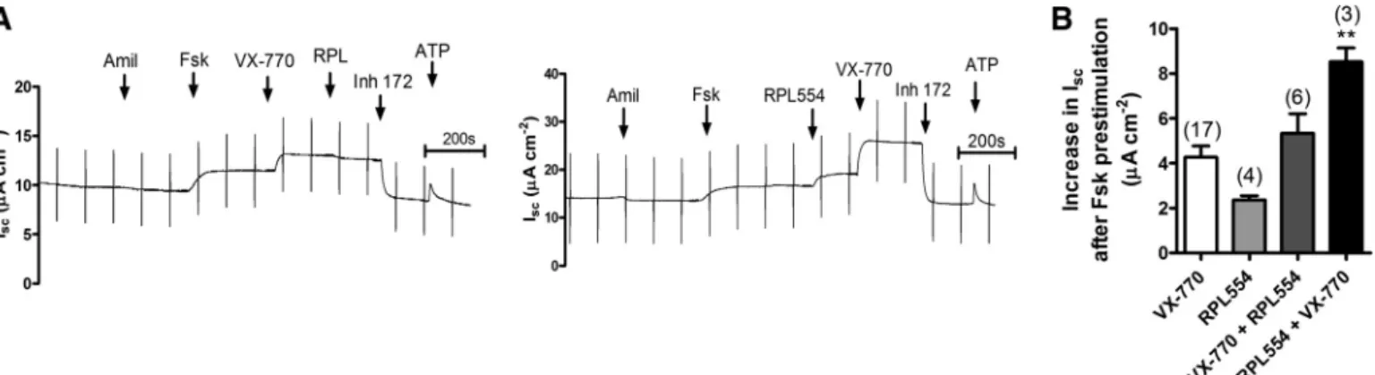 Fig. 9. RPL554 does not further stimulate CFTR-dependent I sc  after acute treatment with VX-770 in R117H/F508del HBE cells
