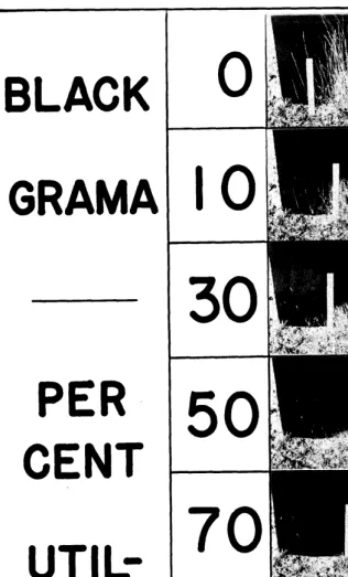 FIGURE 1. Photographic grazed-class guide for estimating forage utilization. 