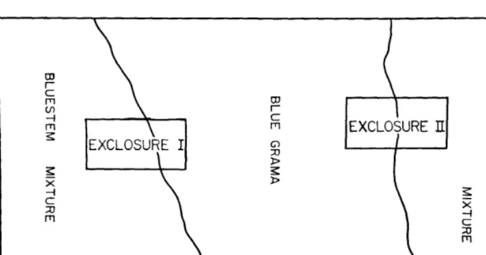 Table 2. Composifion of vegetation from fwo seeded areas after 20 years of profecfion inside an exclosure compared fo composifion on moderately grazed areas outside fhe exclosure (Exclosure 11