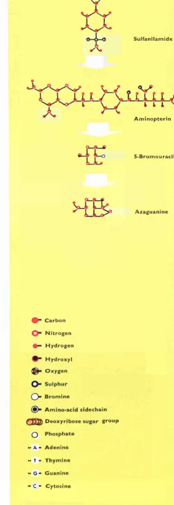 Figs. a-A (left) and a-B (right) 