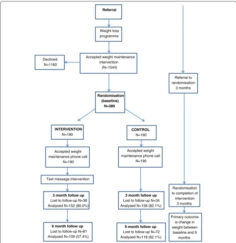 Fig. 1 Study design and participant flow