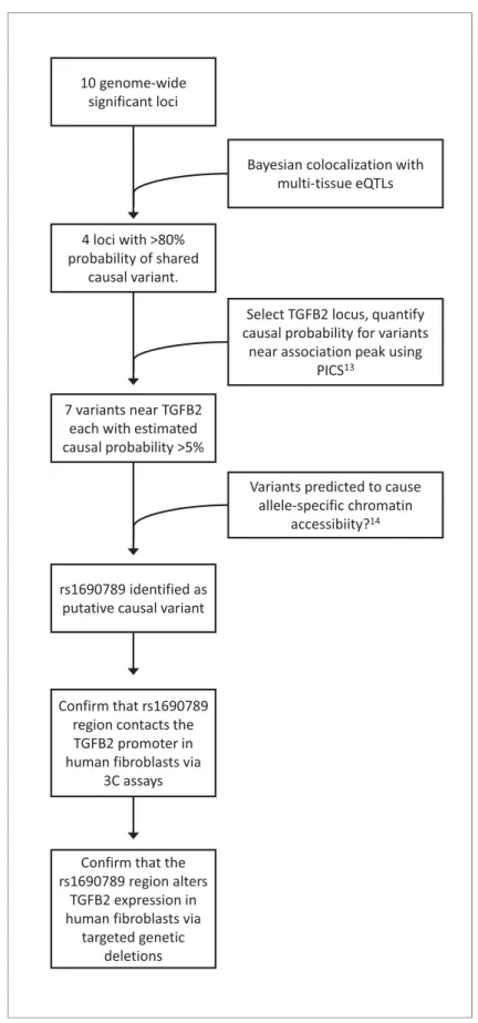 Figure 3. Overview of integrative analyses to prioritize genome-wide significant emphysema-associated loci for functional studies.