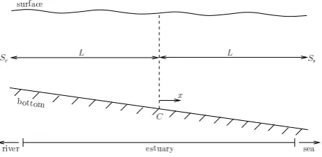 Fig. 1. Physical setting: the stratiﬁcation is to be simulated in theof high salinity gradient