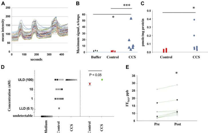 Fig. 3. Cyclic compressive stress (CCS) increases apical Ca 2⫹ flux and nitrogen oxide formation in human airway epithelial cells at air-liquid interface (ALI).