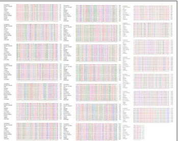 Figure S3: Multiple sequence alignment showing  conservation of the S protein of SARS-CoV2 isolated  from 10 different countries (Australia, Finland, India, 