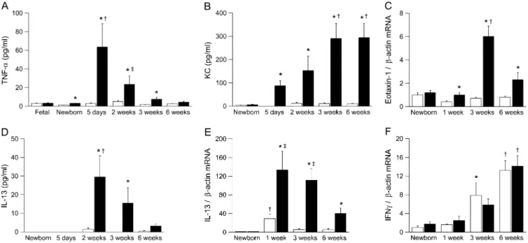 Figure 7. Time course of expression of proinflammatory cytokines in lungs from b-epithelial Na 1 channel (bENaC)-overexpressing mice