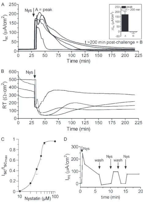 Figure 1. Acute Nys challenge causes a dose-dependent I sc increase in primary HBE cells