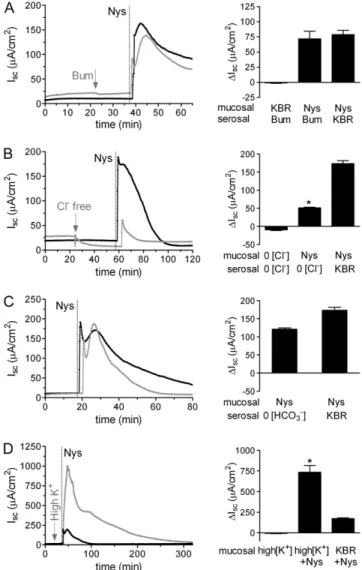 Figure 3. Contribution of Cl 2 , HCO