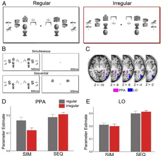 Fig. 1.Increased house-evoked activity in PPA when simultaneously presented object distracters are positioned according to real-world regularities