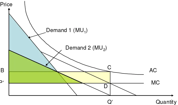 Figure 4: A two-part tariff with heterogeneous demand