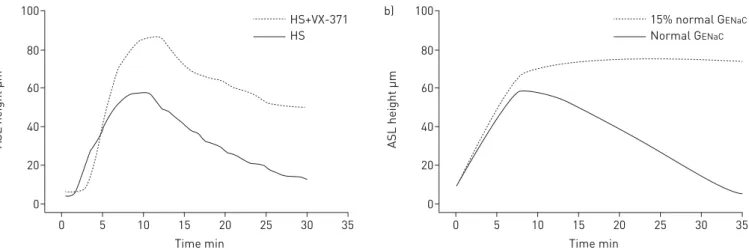 FIGURE 3 Effect of sodium reabsorption on hypertonic saline (HS)-mediated airway surface liquid (ASL) height